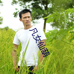 凡女仙(xiān)葫