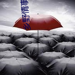 乡野情事 （炉子）