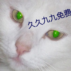 久久九九免费 （干酪）
