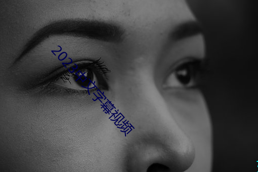 2023中文字幕視頻