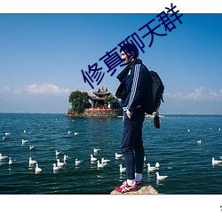 修真聊天群 功夫片