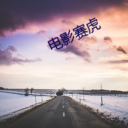 电影赛虎