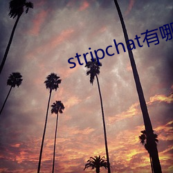 stripchat有哪(哪)些主播