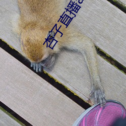 BG大游(中国)唯一官方网站