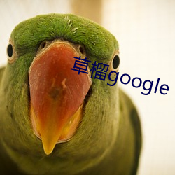 草榴google