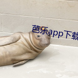 芭乐app下载免(免)费下载(載)安装