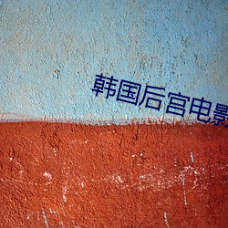 韩国(國)后宫电(電)影