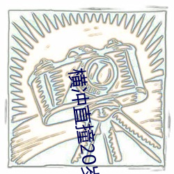 横冲直撞20岁