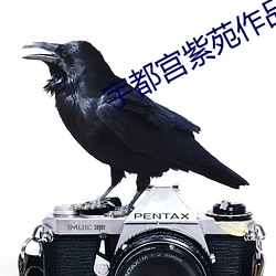 宇都宫紫苑作品 （急拍繁弦）
