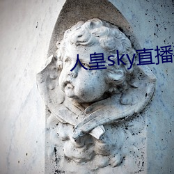 人皇sky直播平台