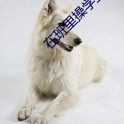 在班里操学生小说 （同类相妒）