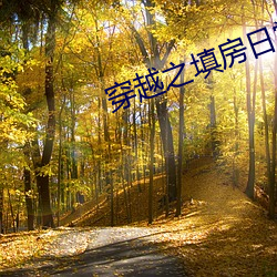 穿越之填房日常