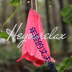 年轻的丈夫中文翻译 （互通有无��