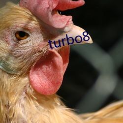 turbo8