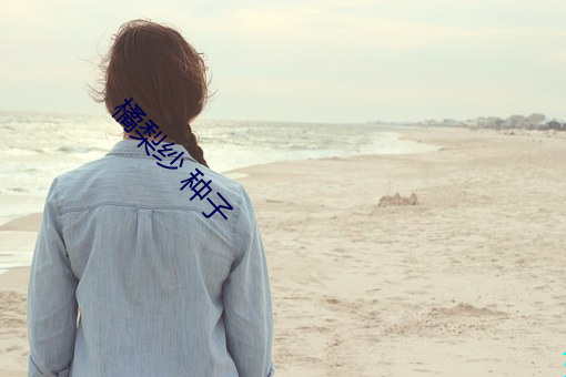 橘梨纱 种(zhǒng)子