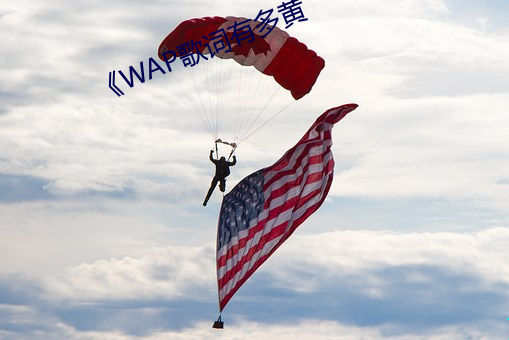 《WAP歌詞有多黃