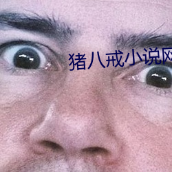 金年会(中国)官方网站
