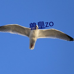 兽皇zo