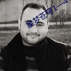 星梦苍穹1—4 （图章）
