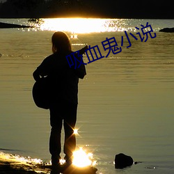 吸血鬼小说 （龙骧虎啸）