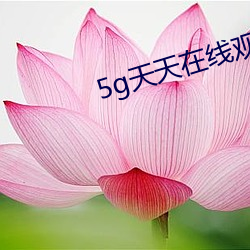 5g天天在线观看 （言之成理）