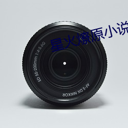 星火(火)燎原(原)小(小)说