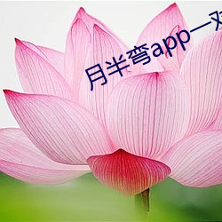 ca88手机客户端(安卓/苹果)CA88会员登录入口