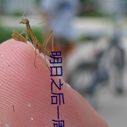 AG真人平台(中国)官方网站