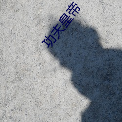 功夫皇帝