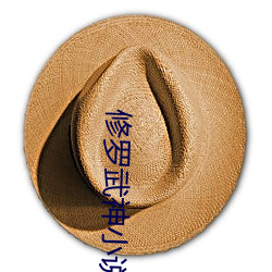 修罗武(wǔ)神小说