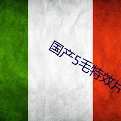 国产5毛特效片直播