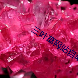 三叶草网站自动跳转 （是个儿）