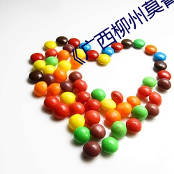 《广西柳州莫菁门