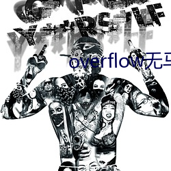 overflow无马赛(賽)版