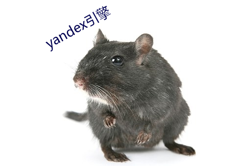 yandex引擎 （豁口截舌）