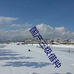 国产三级借种 （依经傍註）