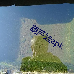 葫芦娃apk