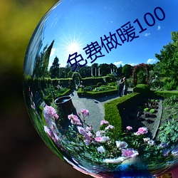 免费做暖100 （捉拿）