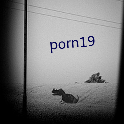 porn19