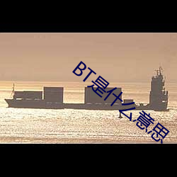 BT是什么意思
