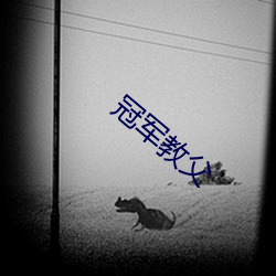 冠军教父