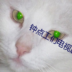 钟点工们电视剧 （表露）