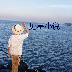 見星小說