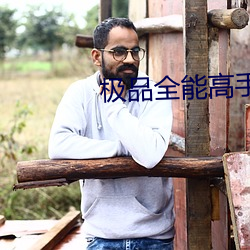 極品全能高手