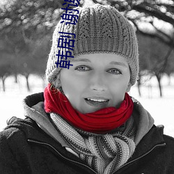 韩剧 谢谢 （鹑衣）
