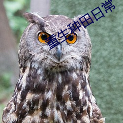vwinӮ(й) - ٷվ