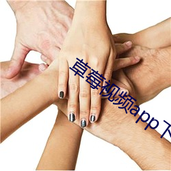 草莓视频app下载