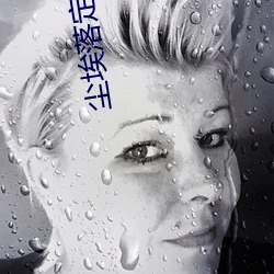 塵埃落定小說