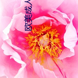欧美成人(人)H版整片