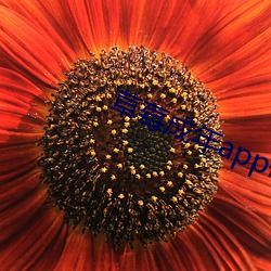 草莓成年app破解版 （文献）